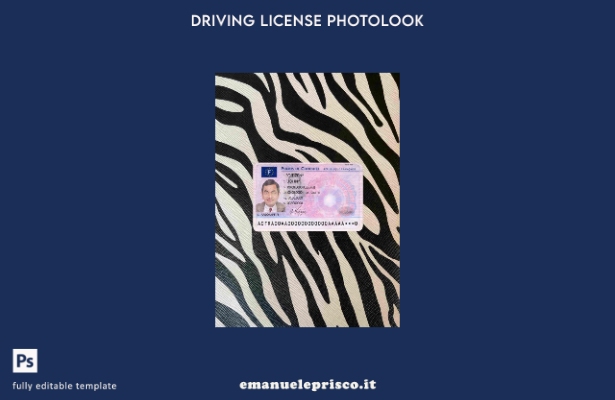modello FRONTALE photolook Francia DL stile verificato